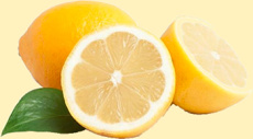 Sběr citronové kůry na ZŠ TGM Ivančice