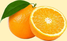 Sběr pomerančové kůry na ZŠ TGM Ivančice
